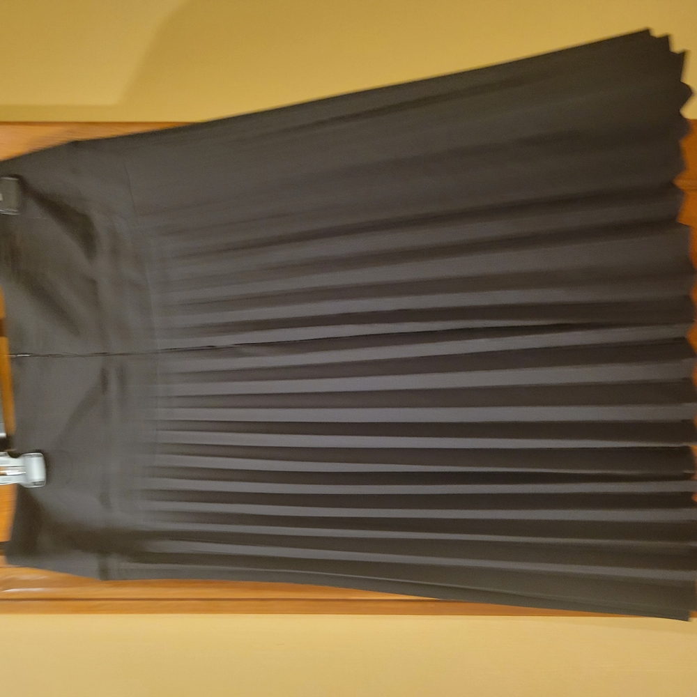 Black Pleated Skirt